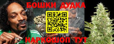 шишки Аргун