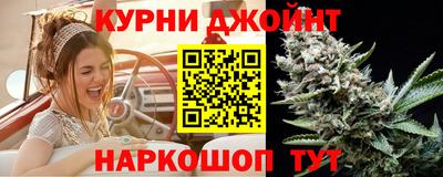 шишки Аргун