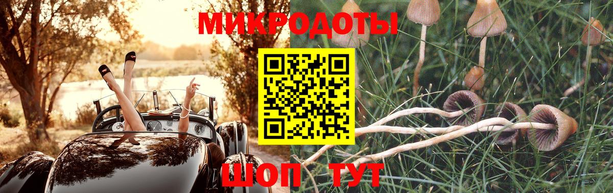 Галлюциногенные грибы ЛСД  Вход с VPN  закладки  Вязники 